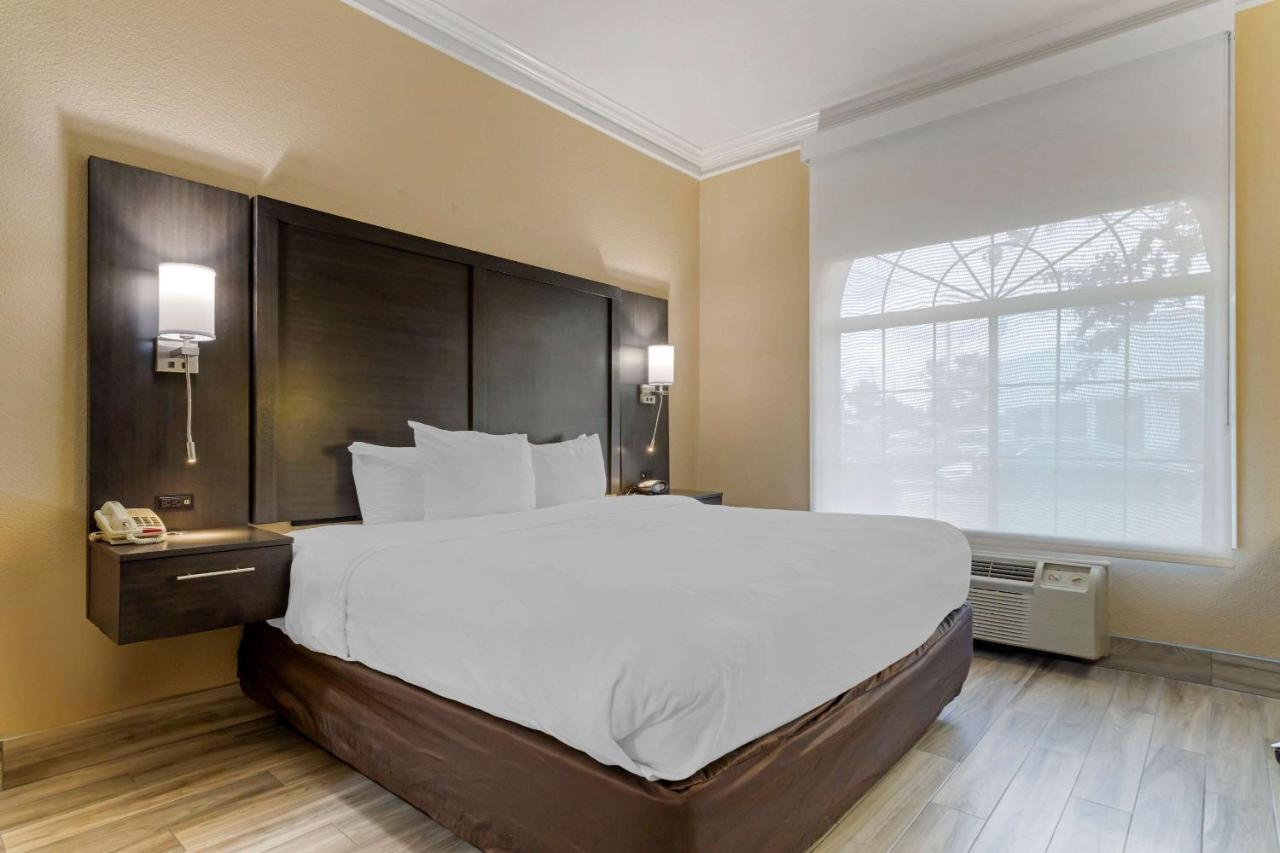 Comfort Suites Kingwood Houston North Humble 59 Zewnętrze zdjęcie